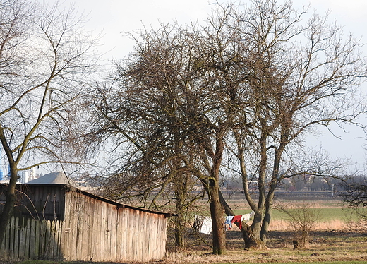 wiejskie klimaty Kiliskiego