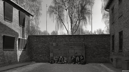 Obz koncentracyjjny-Auschwitz