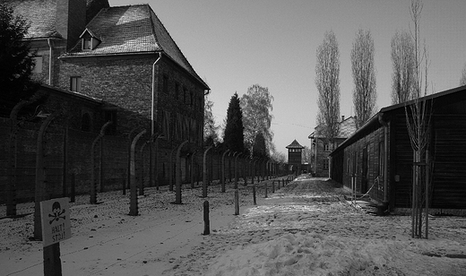 Obz koncentracyjjny-Auschwitz