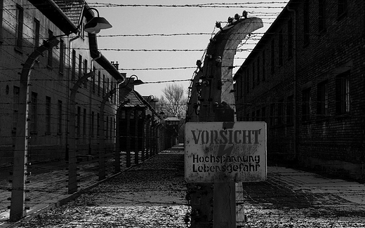 Obz koncentracyjjny-Auschwitz