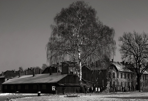 Obz koncentracyjjny-Auschwitz