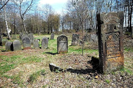 Szydowiec - cmentarz  ydowski
