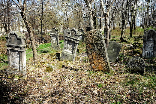 Szydowiec - cmentarz ydowski