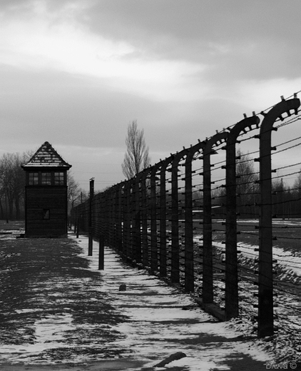 Obz koncentracyjny KL Birkenau Auschwitz II