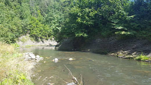 Zakopianka Biay Dunajec- Harenda