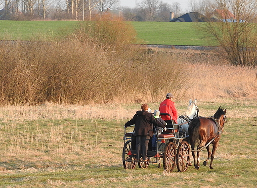 przejadka