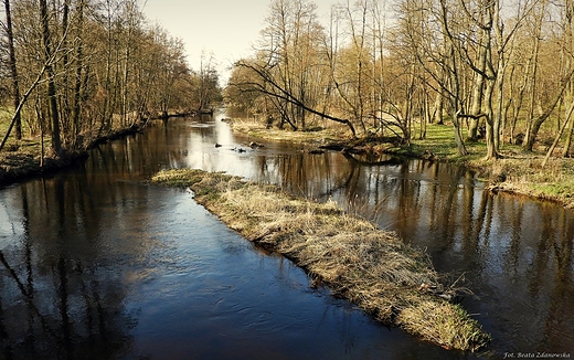 Rzeka Proszew