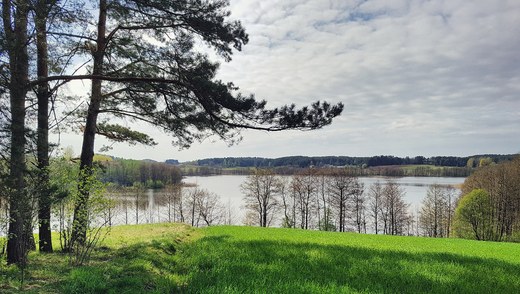 Jezioro Sumowo le�y poza granicami Suwalskiego Parku Krajobrazowego, dlatego jest tu ca�y czas pusto i odludnie 