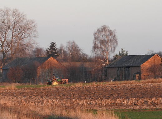 wiosennie na polach...