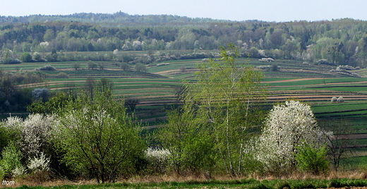 okolice Szczebrzeszyna