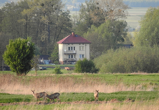 klimaty Majdanu