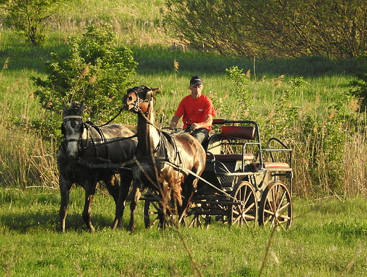 przejadka