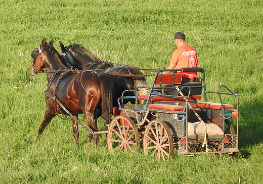 przejadka