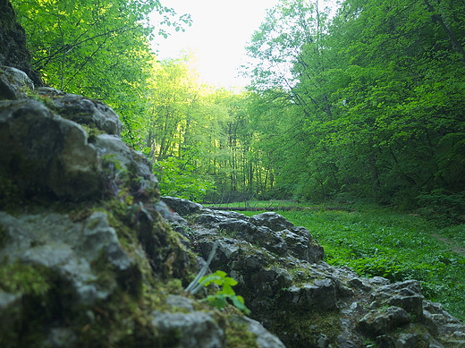 Ojcowski Park Narodowy