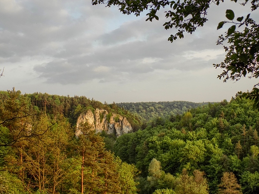 Ojcowski Park Narodowy