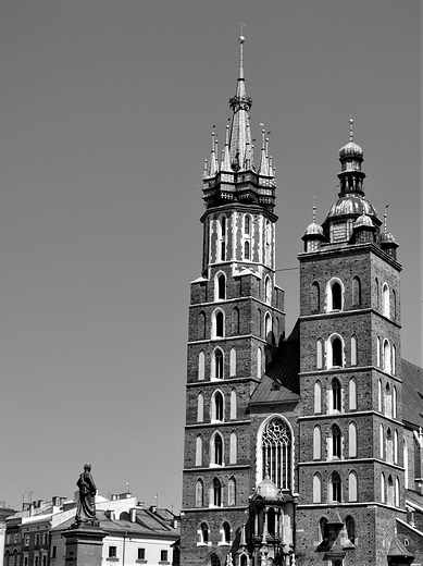 Koci Mariacki