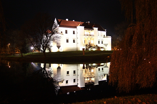 Zamek nocą