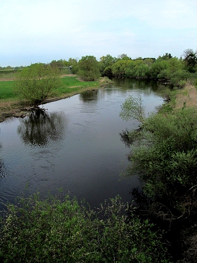Drwęca - rezerwatem przyrody