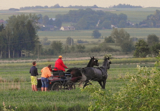 przejadka