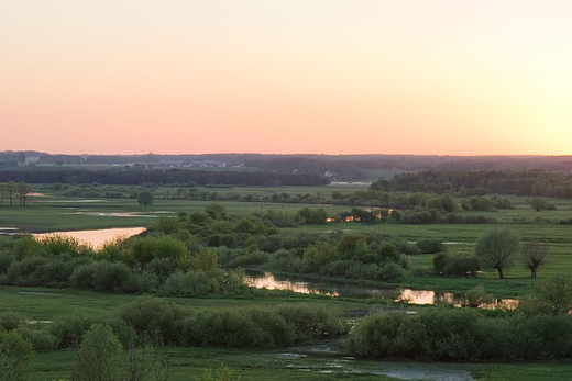 Widok z Gry Strkowej