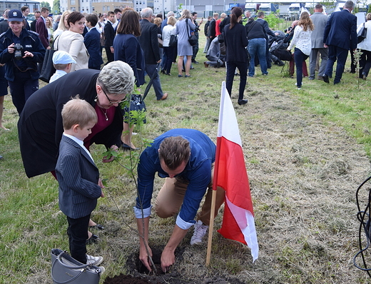 Aleja dbw w Zamociu na 100. rocznic odzyskania niepodlegoci