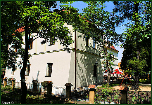 Zamek w Zebrzydowicach - cykl Zamki nad Piotrwk