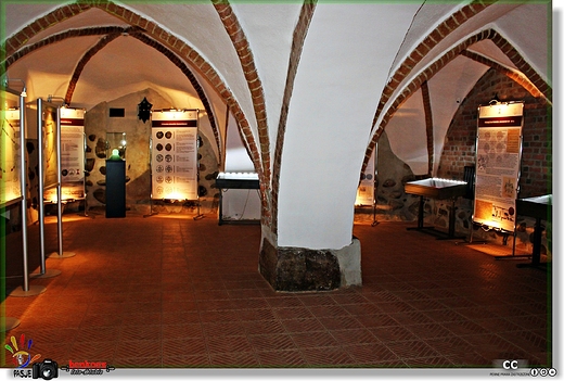 wystawa w sali zamku krzyżackiego w Świdwinie Pieniądz na Pomorzu Zachodnim XIV-XV w. .