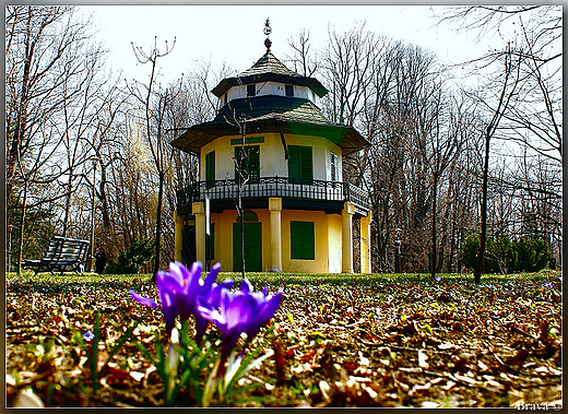 Zamek w  ywcu - park zamkowy wiosennie.