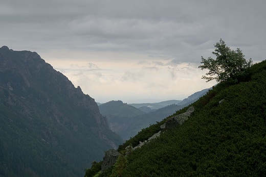 Widok z Doliny Roztoki na Wooszyn i Tatry Bielskie