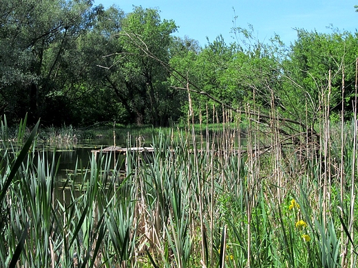 Tak, jak natura chce