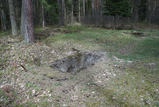 Park Historyczny Blizna-poligon broni V 1 i V 2-pozostaloci po wysadzonej wiey