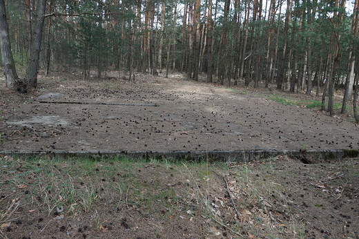 Park Historyczny Blizna-poligon broni V 1 i V 2-pozostaloci po stanowisku startowym