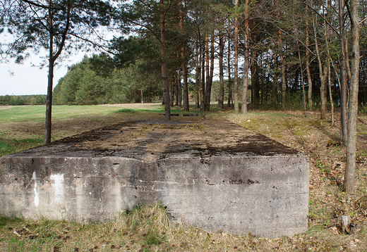 Park Historyczny Blizna-poligon broni V 1 i V 2-pozostaloci po stanowisku startowym