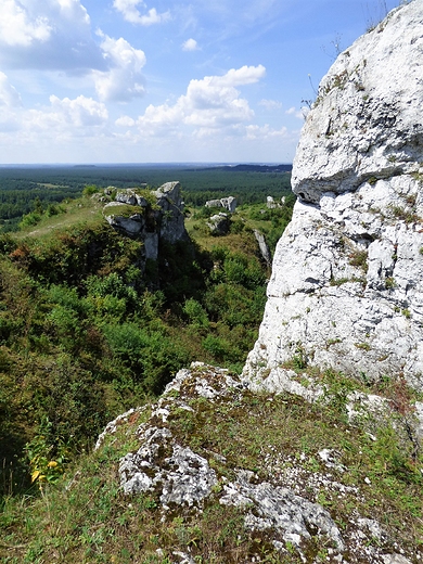 Widok z Wzgrza Lipwki, k Olsztyna.