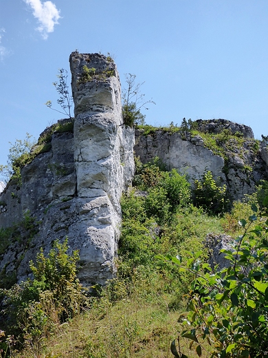 Widok z Wzgrza Lipwki, k Olsztyna.