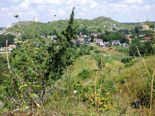 Widok ze wzgrza Lipwki na g. Zamkow nad Olsztynem.