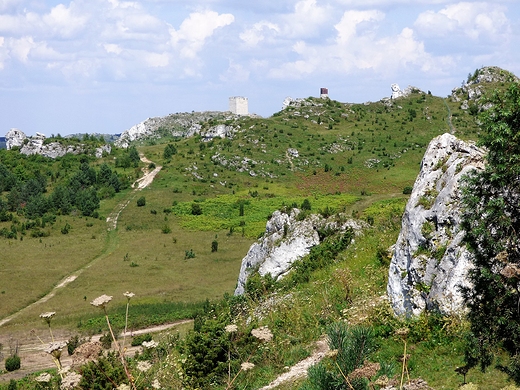 Widok z Wzgrza Lipwki, k Olsztyna.