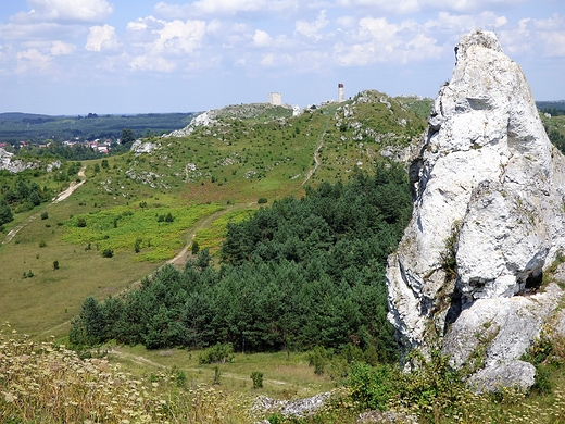 Widok z Wzgrza Lipwki, k Olsztyna.