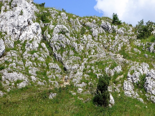 Widok ze wzgrza Lipwki na g. Zamkow nad Olsztynem.