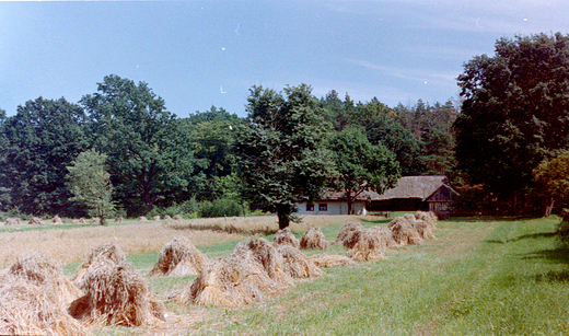 Muzeum Wsi Radomskiej