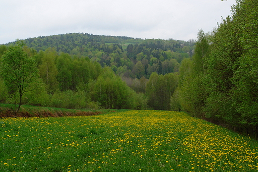 Widok z Radostowej na Dbrwk.