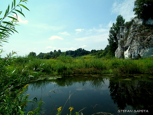 Tyniec