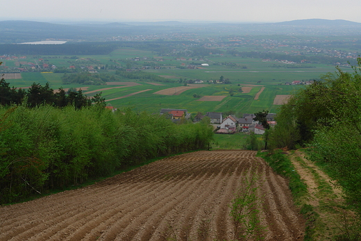 Widok z platformy widokowej na Klonwce.