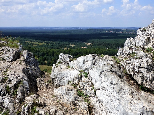 Wzgrze Biako k. Olsztyna.