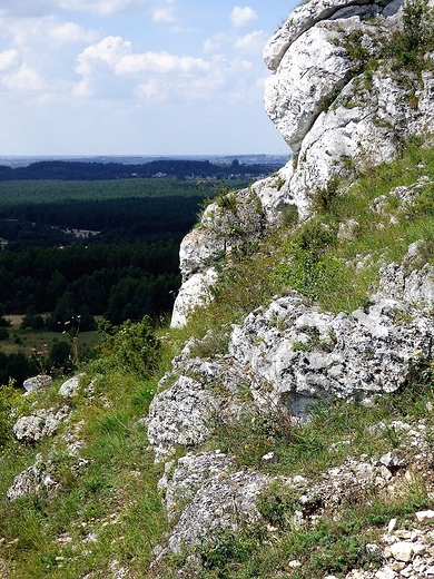 Wzgrze Biako k. Olsztyna.