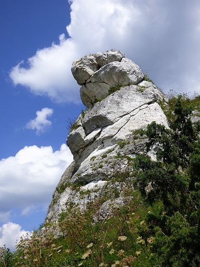 Wzgrze Biako k. Olsztyna.