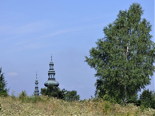 Widok z Gry Zamkowej na koci parafialny w Olsztynie.