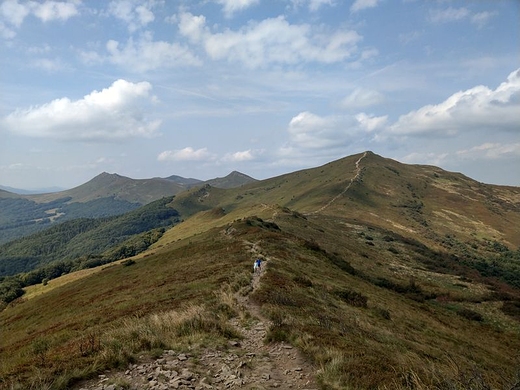 Bieszczadzka panorama