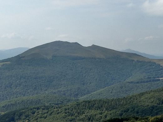 Tarnica - widok z Halicza