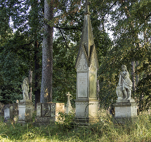 cmentarz w lesie-Gorajec